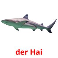 der Hai card for translate