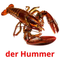 der Hummer ansichtkaarten