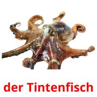 der Tintenfisch card for translate