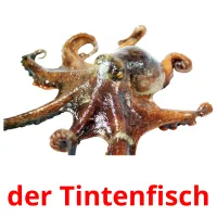 der Tintenfisch ansichtkaarten