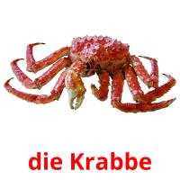 die Krabbe picture flashcards