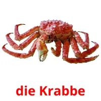 die Krabbe ansichtkaarten