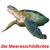 die Meeresschildkröte ansichtkaarten