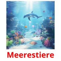 Meerestiere ansichtkaarten