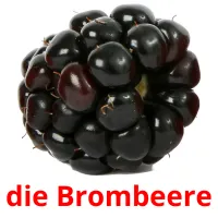 die Brombeere cartões com imagens