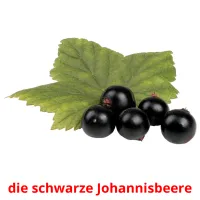 die schwarze Johannisbeere cartões com imagens