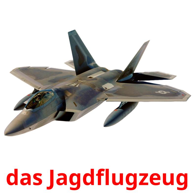 das Jagdflugzeug picture flashcards