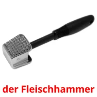 der Fleischhammer cartes flash