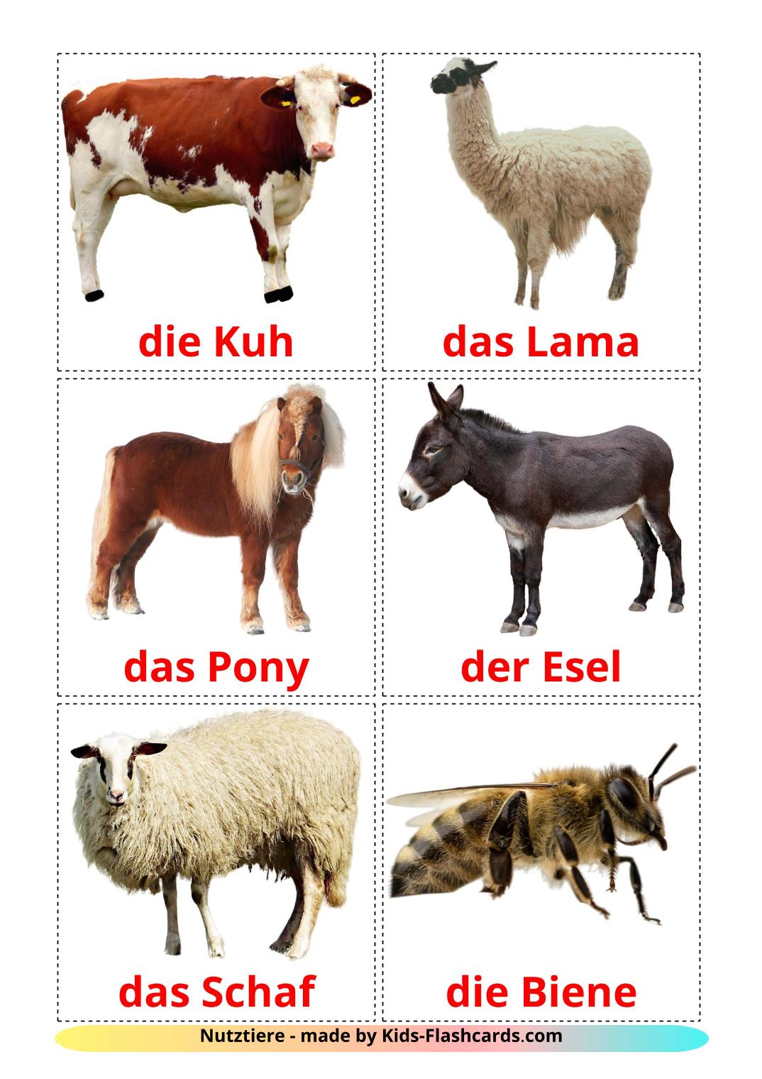 Nutztiere - 15 kostenlose, druckbare Deutsch Flashcards 