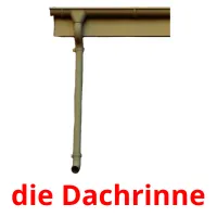 die Dachrinne picture flashcards