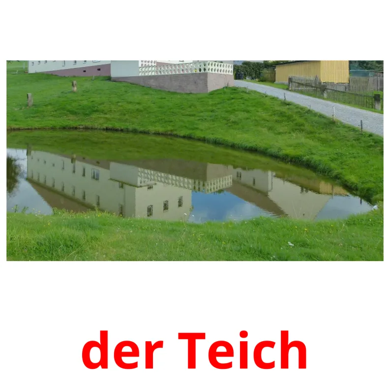 18 FREE Garden Flashcards PDF German Words