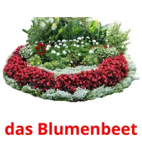 das Blumenbeet Tarjetas didacticas