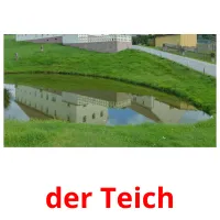 der Teich Tarjetas didacticas