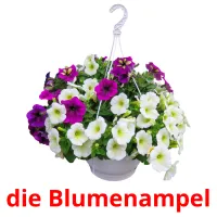 die Blumenampel Tarjetas didacticas