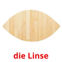 die Linse picture flashcards