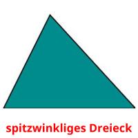 spitzwinkliges Dreieck picture flashcards