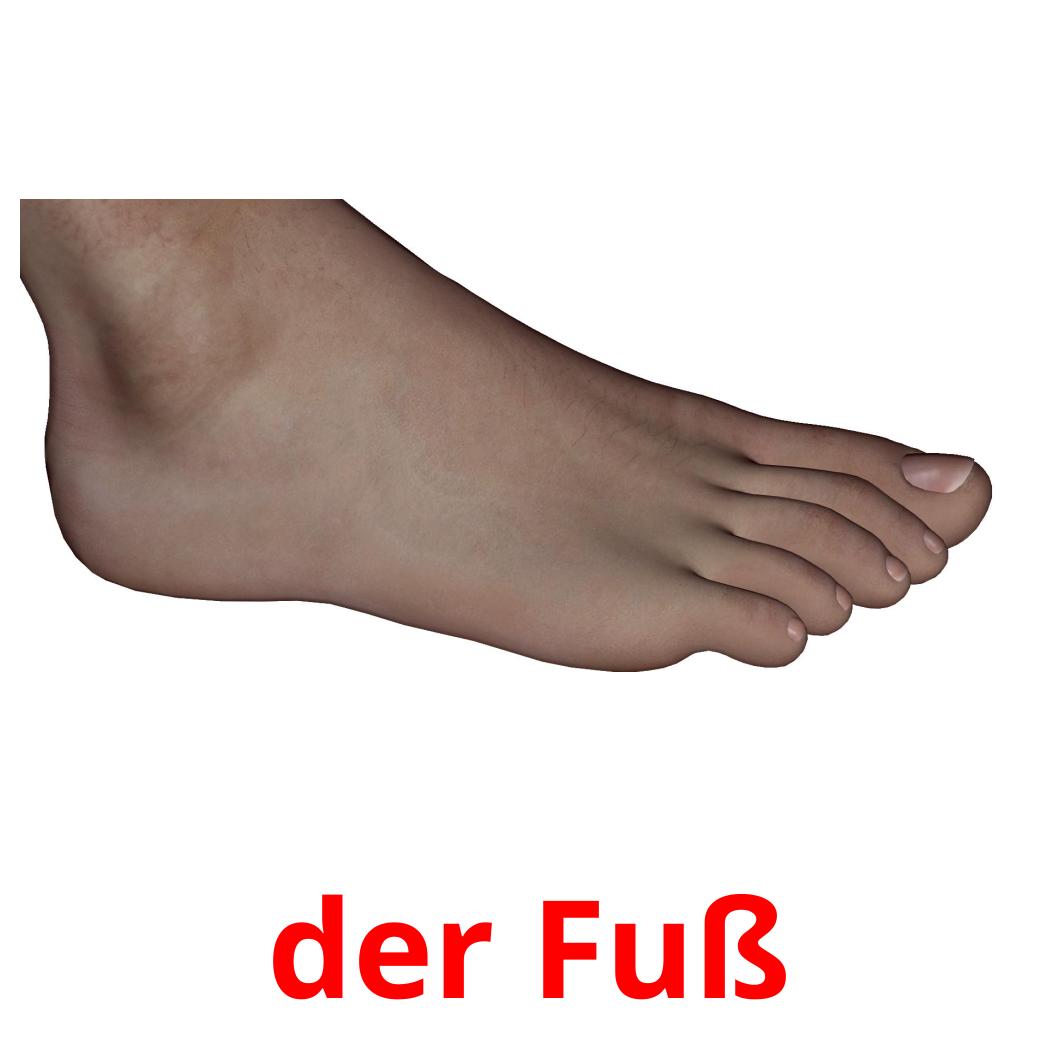 Fuss перевод. Fuss. Fuss форма. Соедини der Fuss foot der hand hand.