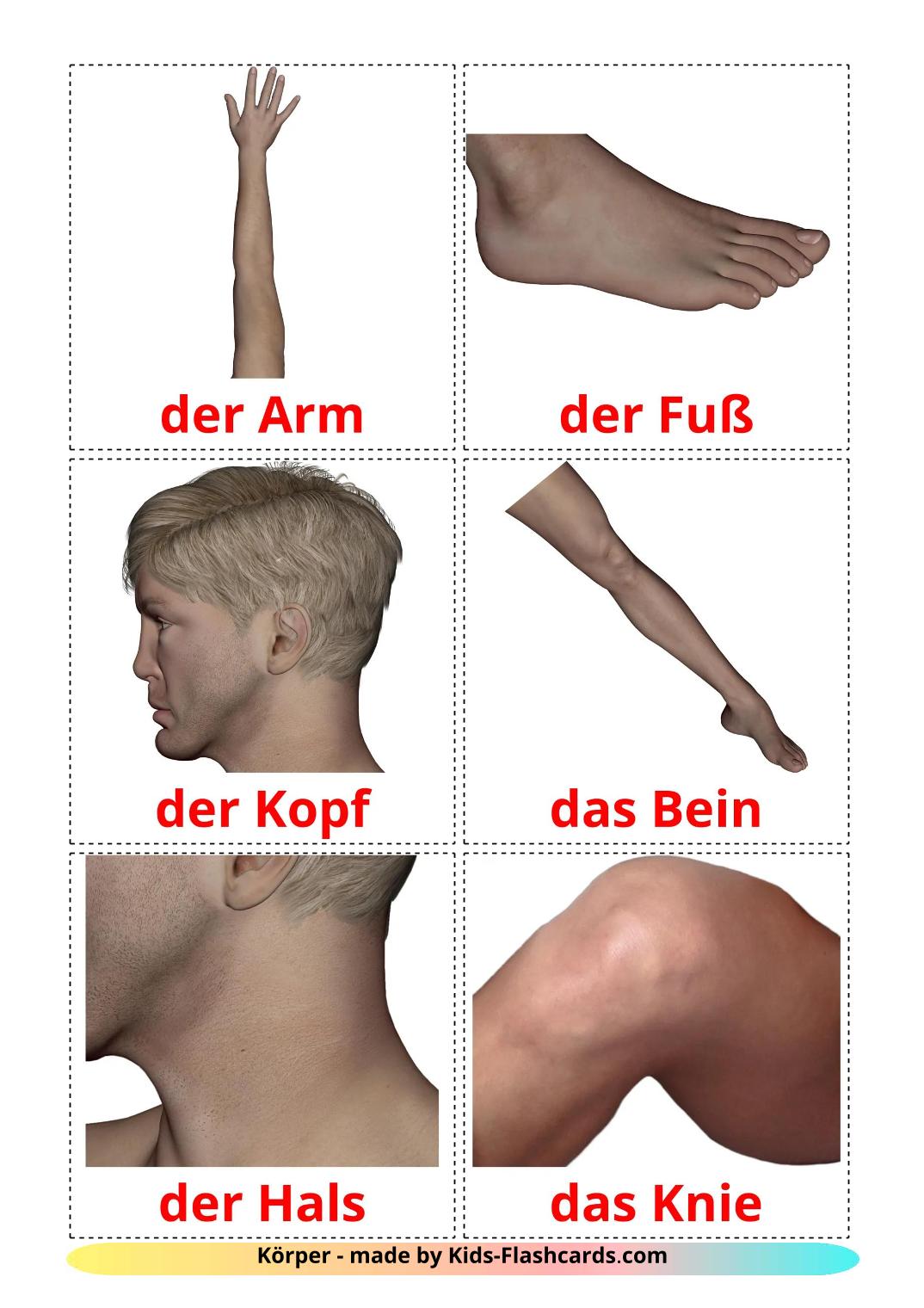 Partes del Cuerpo - 26 fichas de alemán para imprimir gratis 