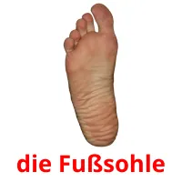 die Fußsohle Tarjetas didacticas