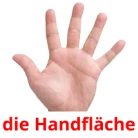 die Handfläche Tarjetas didacticas