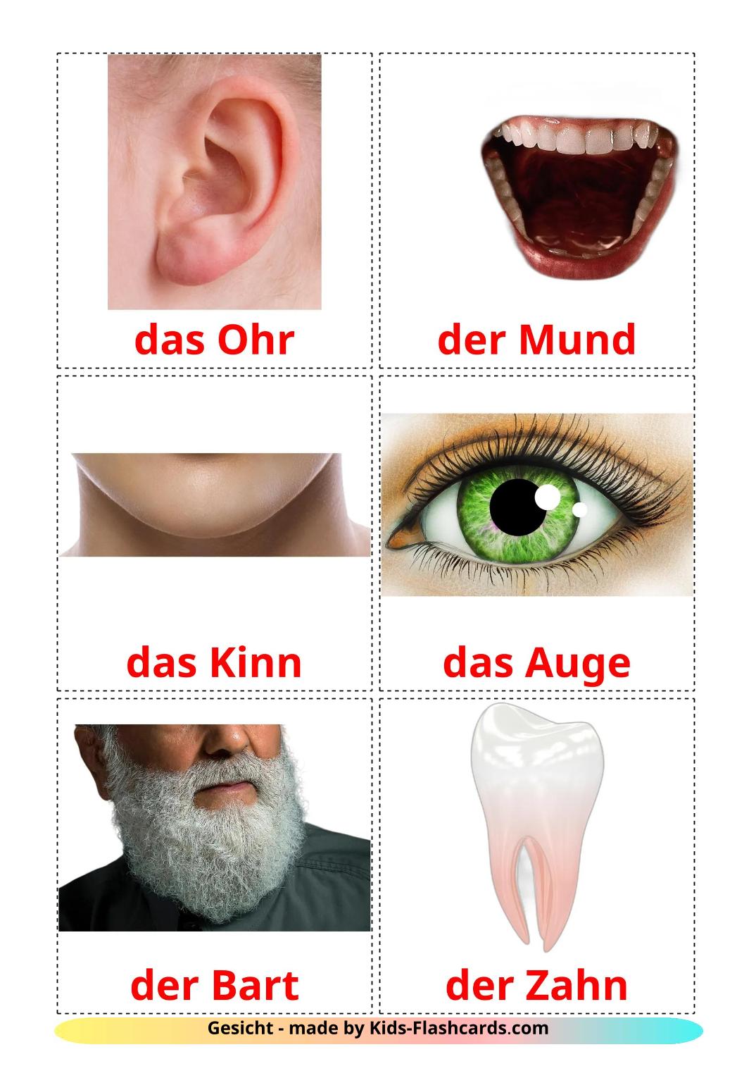 Gesicht - 20 kostenlose, druckbare Deutsch Flashcards 