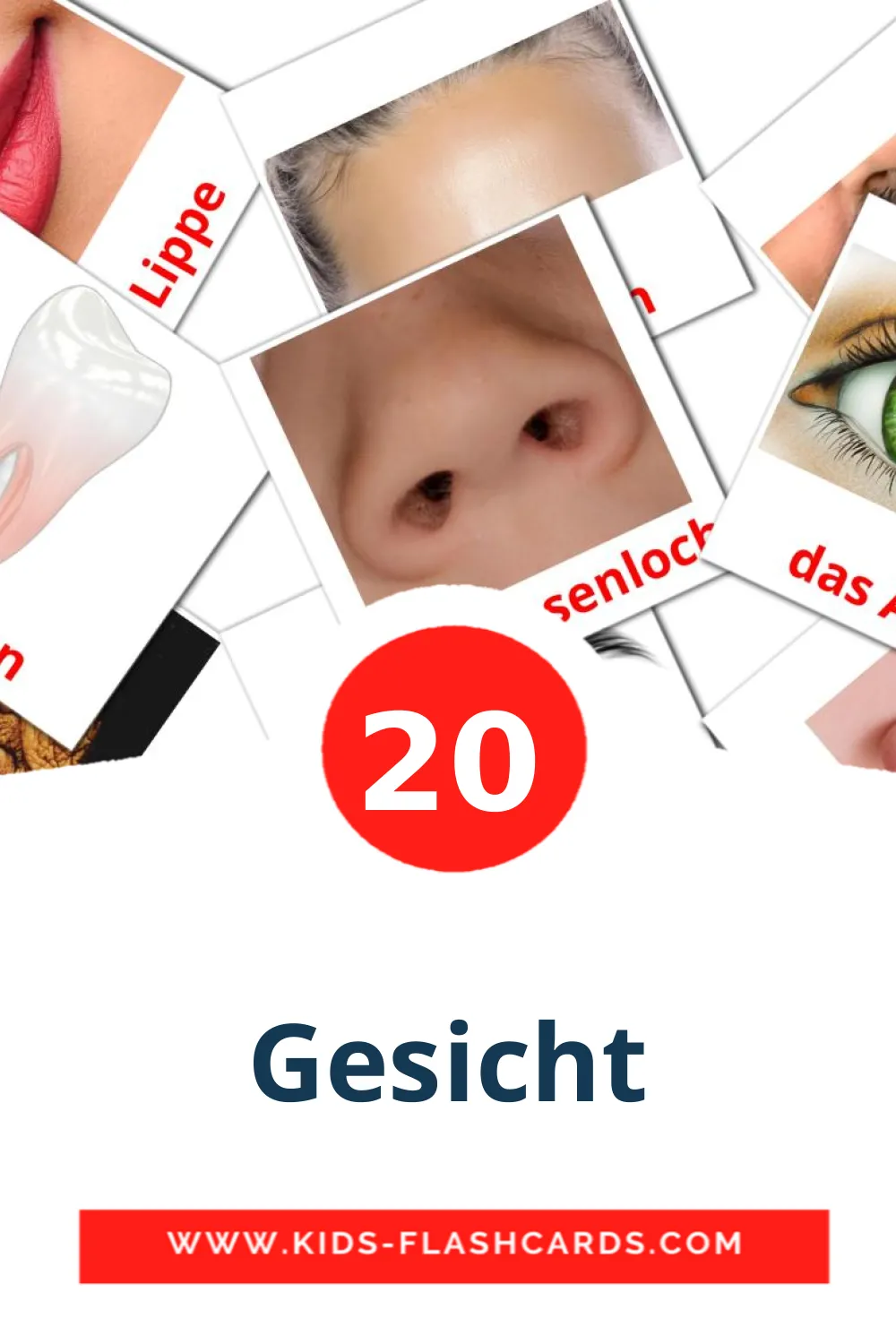 20 Gesicht Bildkarten für den Kindergarten auf Deutsch