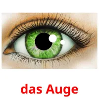 das Auge flashcards illustrate