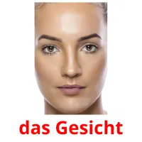 das Gesicht Bildkarteikarten