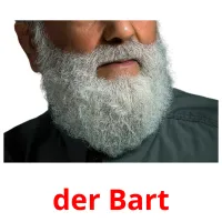 der Bart Bildkarteikarten