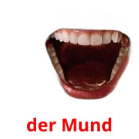 der Mund flashcards illustrate