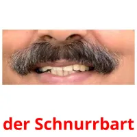 der Schnurrbart flashcards illustrate