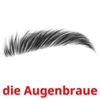 die Augenbraue flashcards illustrate