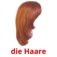 die Haare Bildkarteikarten