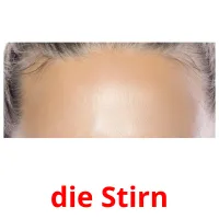 die Stirn Bildkarteikarten