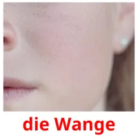 die Wange Bildkarteikarten