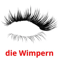 die Wimpern Bildkarteikarten