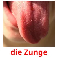 die Zunge Bildkarteikarten