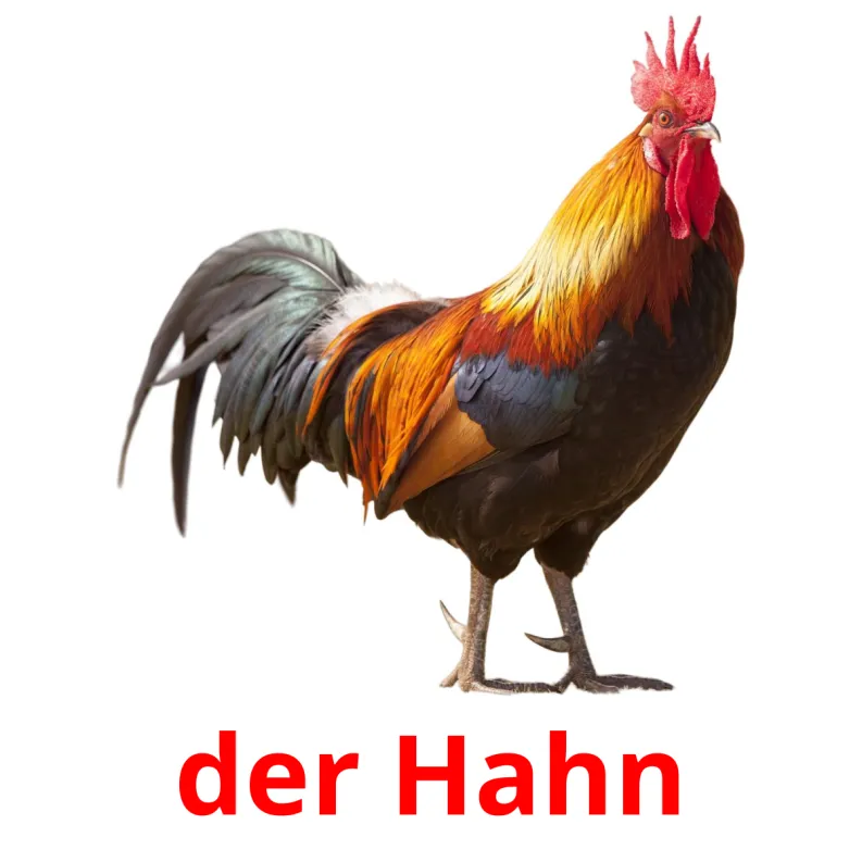 11 FREE Farm birds Flashcards PDF German Words