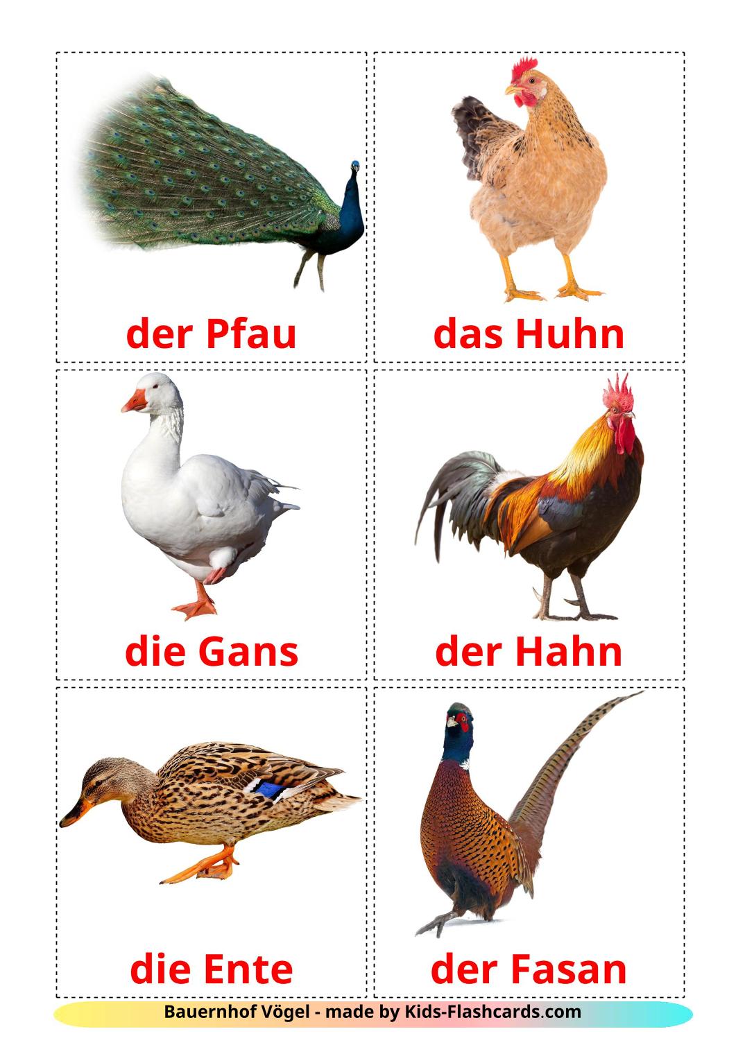 Farm birds - 11 Free Printable german Flashcards 