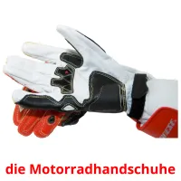 die Motorradhandschuhe picture flashcards