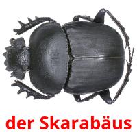 der Skarabäus card for translate