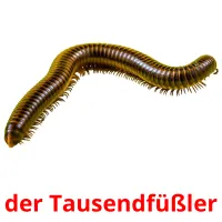 der Tausendfüßler карточки энциклопедических знаний