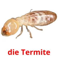 die Termite карточки энциклопедических знаний