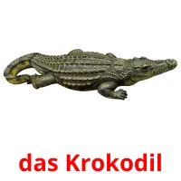 das Krokodil Tarjetas didacticas