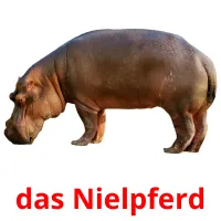 das Nielpferd Tarjetas didacticas