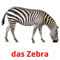 das Zebra Tarjetas didacticas