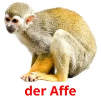 der Affe Tarjetas didacticas