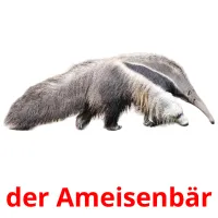 der Ameisenbär Tarjetas didacticas