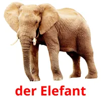 der Elefant Tarjetas didacticas