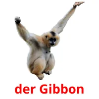 der Gibbon Tarjetas didacticas